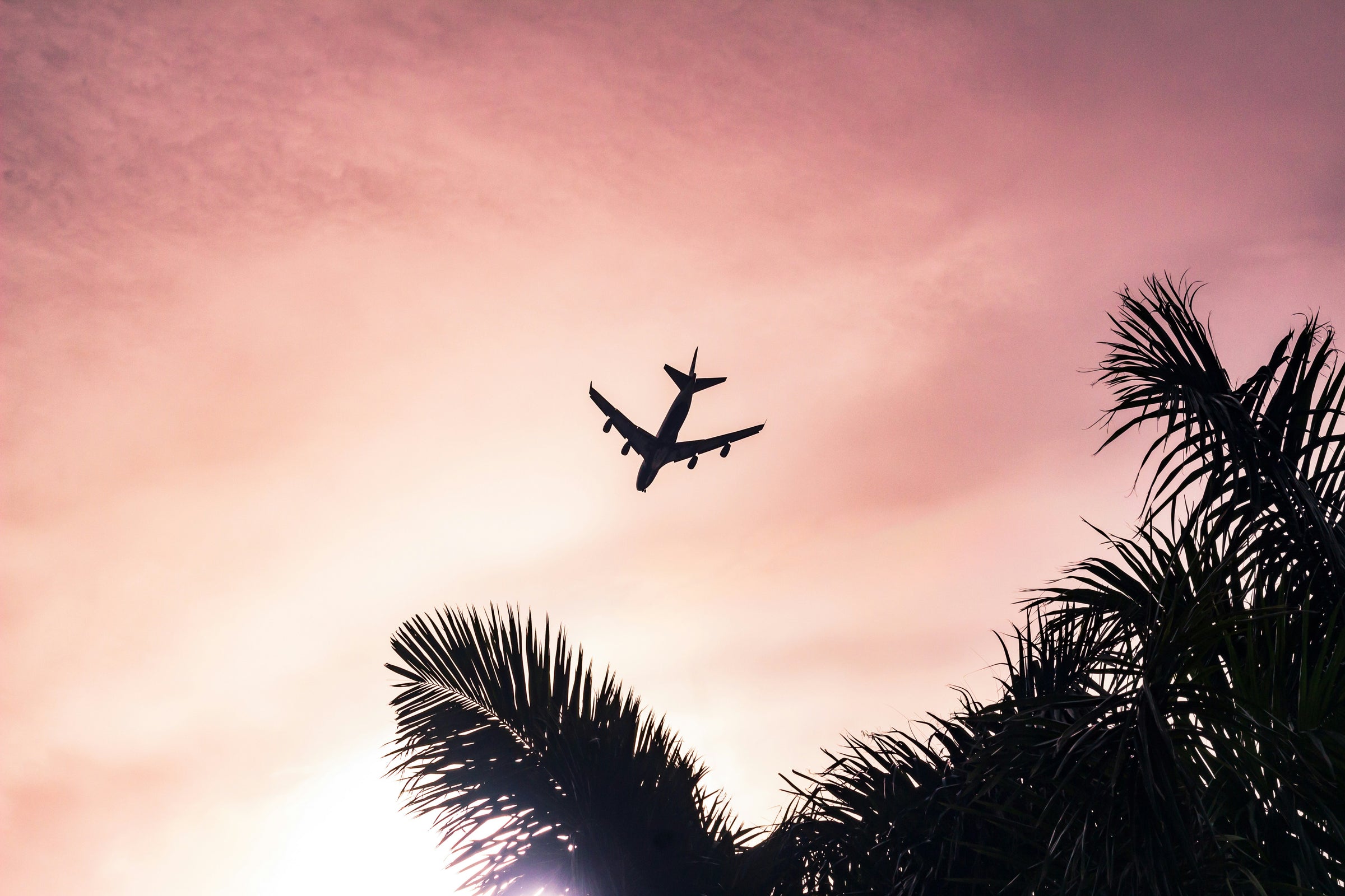 Airplane flying against a pink sky with palm trees in the foreground